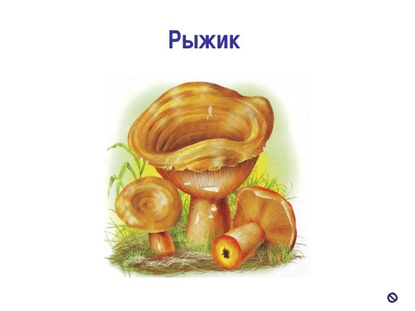Гриб Рыжик для детей