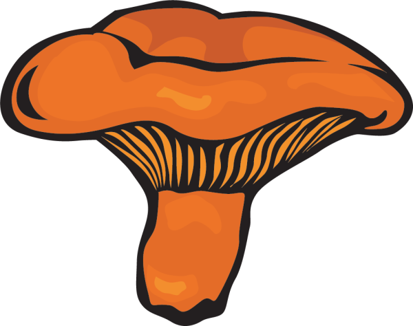 Гриб Лисичка для вырезания