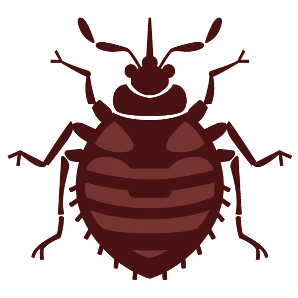 Клоп силуэт