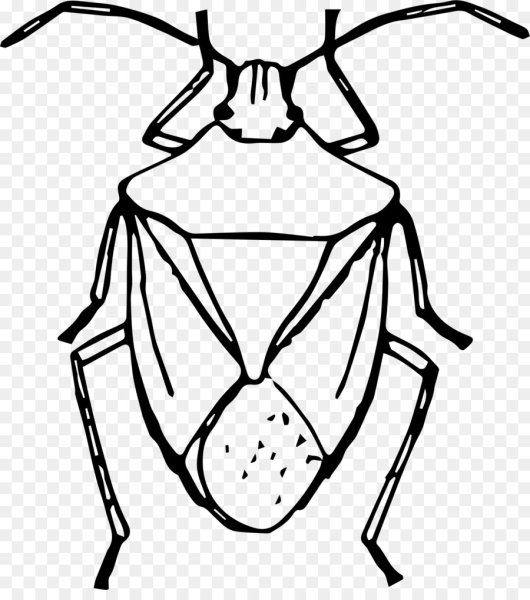 Клоп раскраска