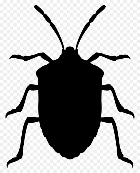 Силуэты Жуков