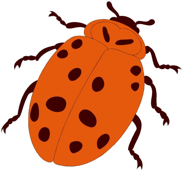 Клоп на белом фоне для детей