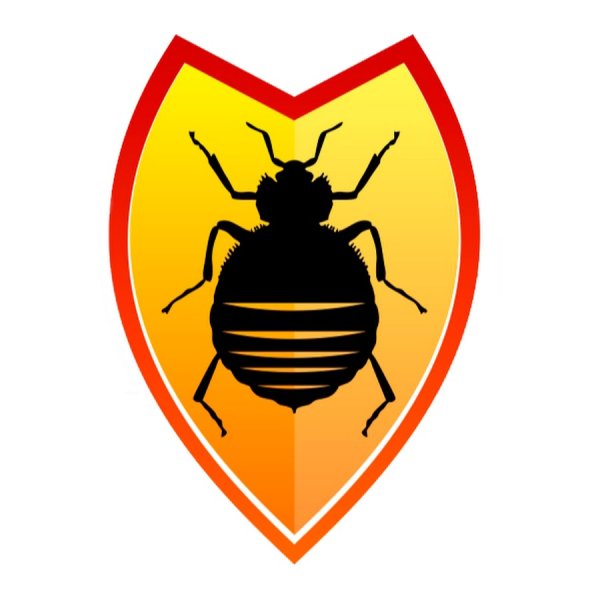 Постельный клоп рисунок