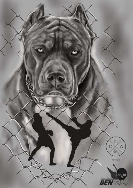 Кане Корсо оскал