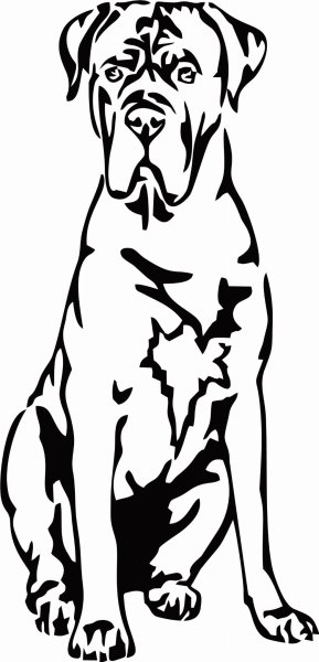 Кане Корсо DXF