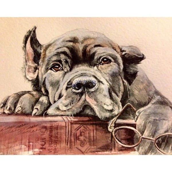 Картина Кане Корсо