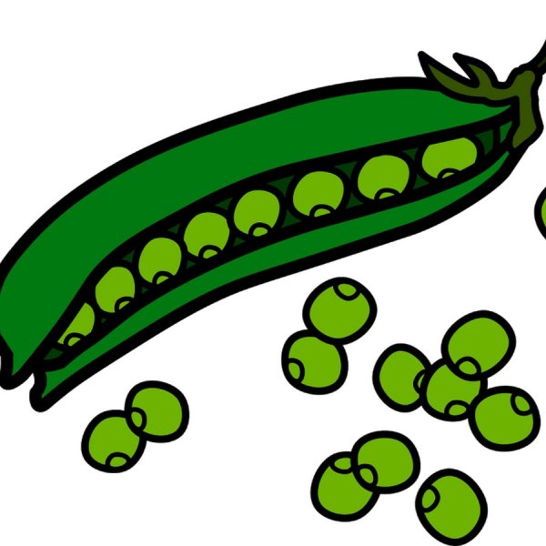 Бобовые мультяшные