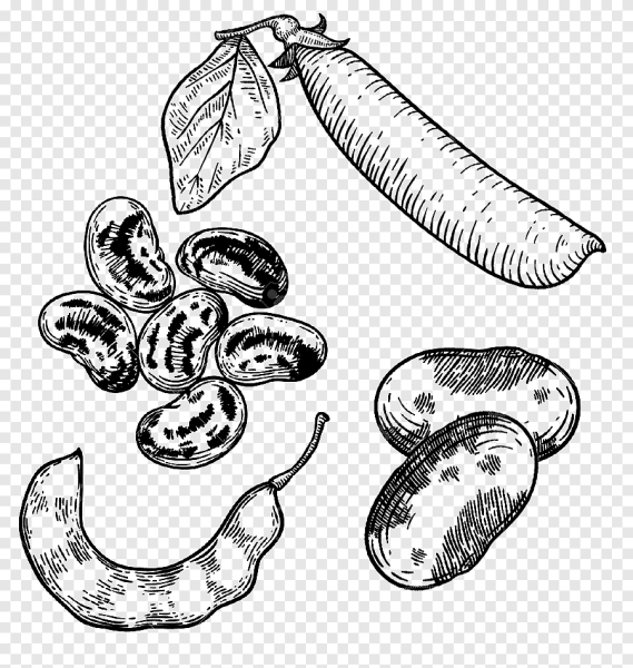 Beans мультяшные