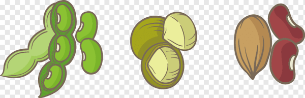 Фасоль для раскрашивания