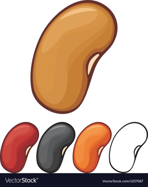 Фасоль раскраска