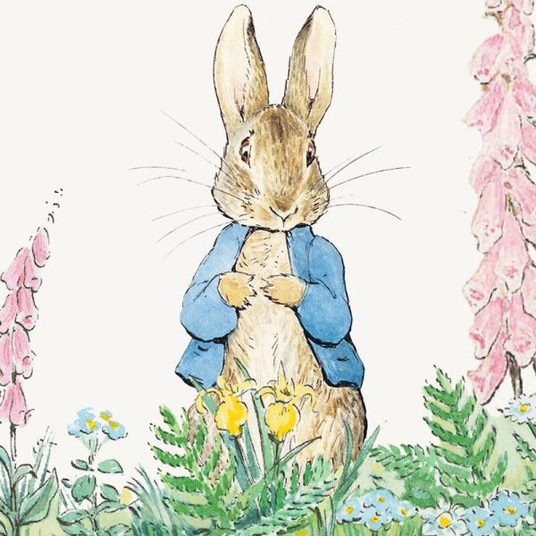 Кролик Питер иллюстрации