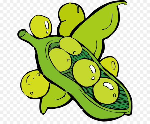 Фасоль с глазками