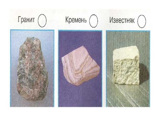 Камни гранит кремень известняк