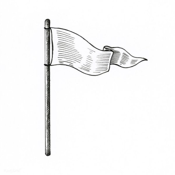 Флажки черно белые