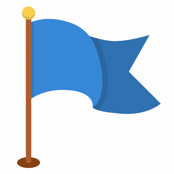 Дети с флажками