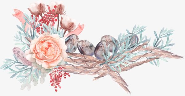 Акварельные веточки