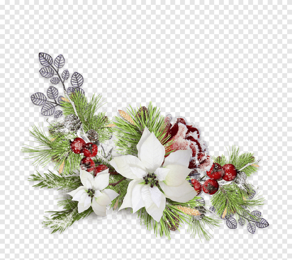 Зимние цветы прозрачный