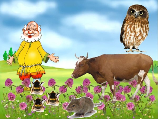 Сказка Виталия Бианки Сова