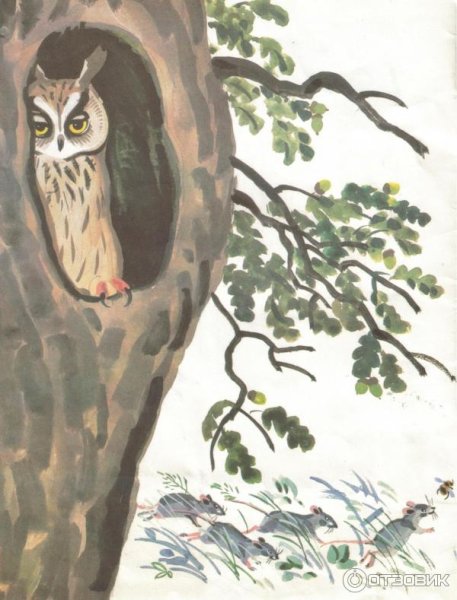 Сказка Сова Бианки