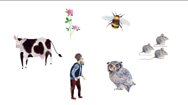 Иллюстрации к сказке биянка Сова