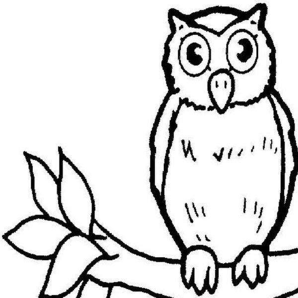 Сказка Сова Бианки