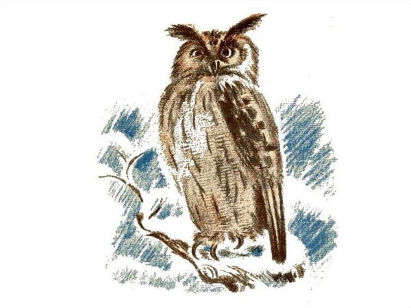 Сладков Сыч