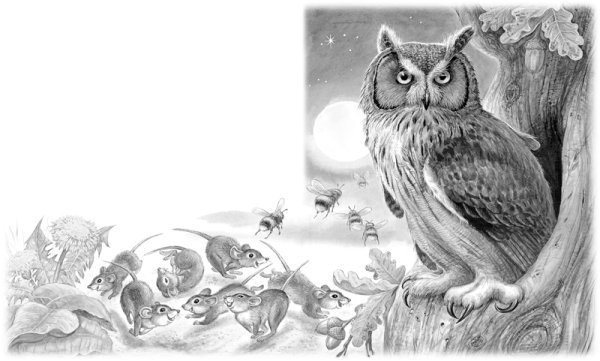 Иллюстрация к рассказу Сова Бианки