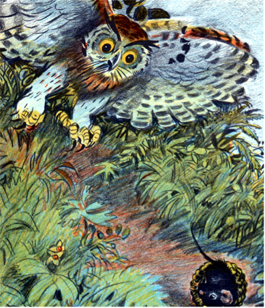 Виталий Бианки Сова