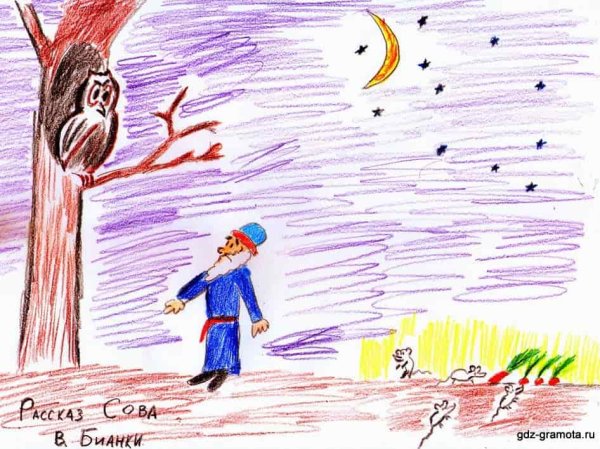 Сказка Виталия Бианки Сова