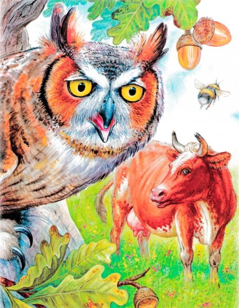 Сказка Сова Бианки