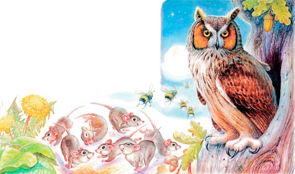 Иллюстрация к сказке Сова 2 класс