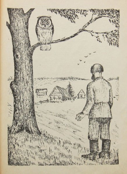 Произведение Сова