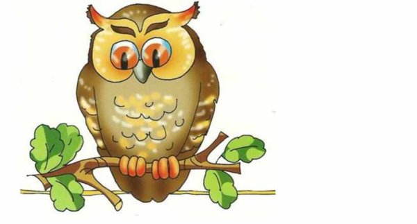 Красивая Сова из мультфильма