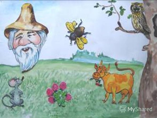 Сказка Сова