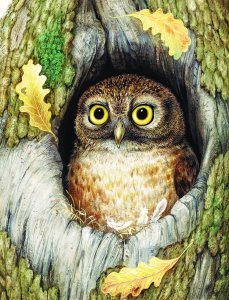 Сова в дупле дуба