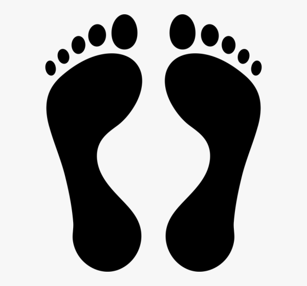 Очертание стопы