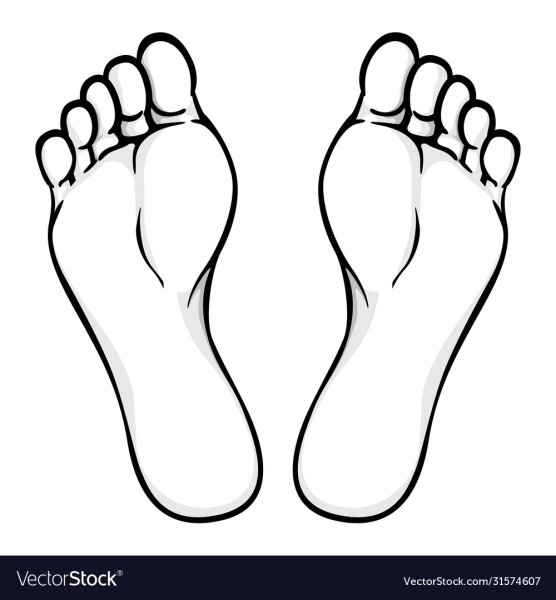 Стопы ног чб