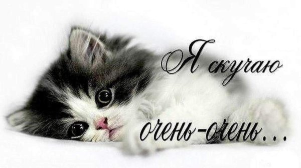 Скучаю картинки