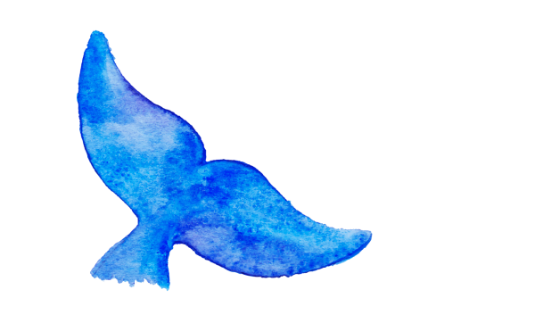 Плавник кита вектор