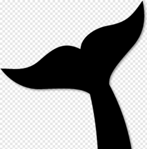 Хвост кита вектор