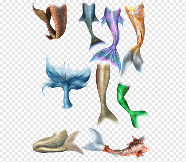 Хвост русалки для обработки