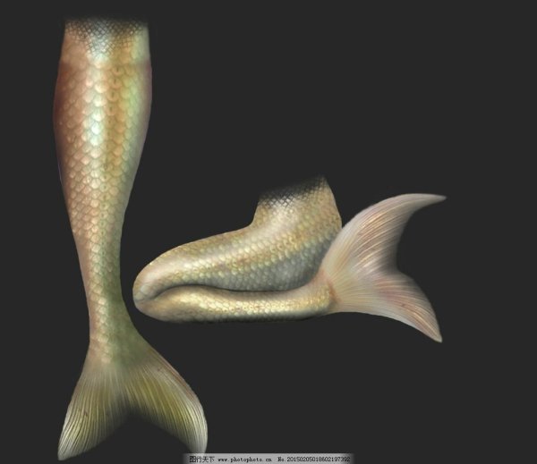 Русалка с черным хвостом