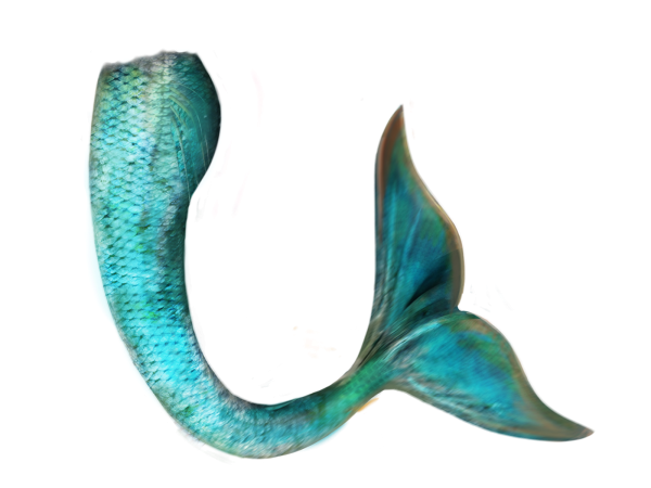 Хвост Русалочий хвост