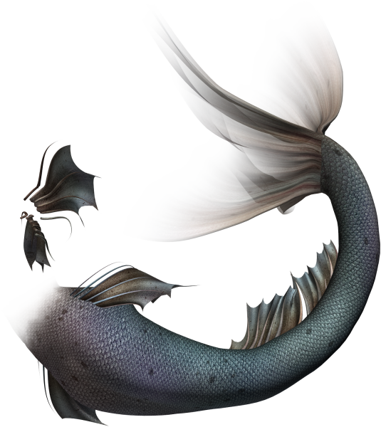 Хвост русалки для фотошопа