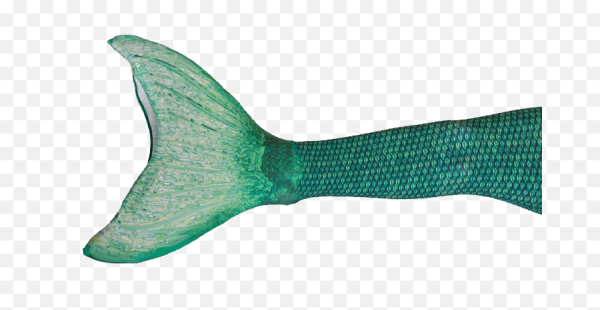 Рыбий хвост рыба