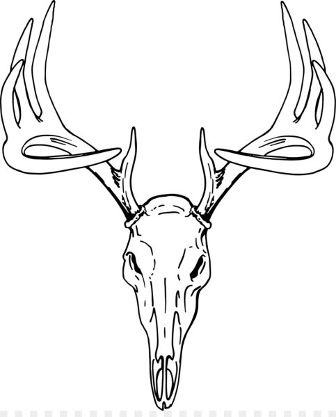 Череп оленя скетч