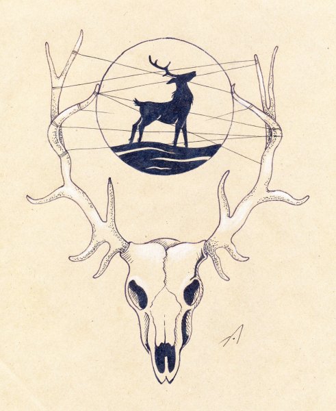 Олень набросок