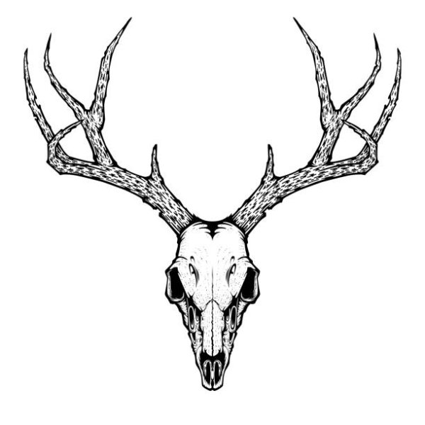 Череп оленя декор