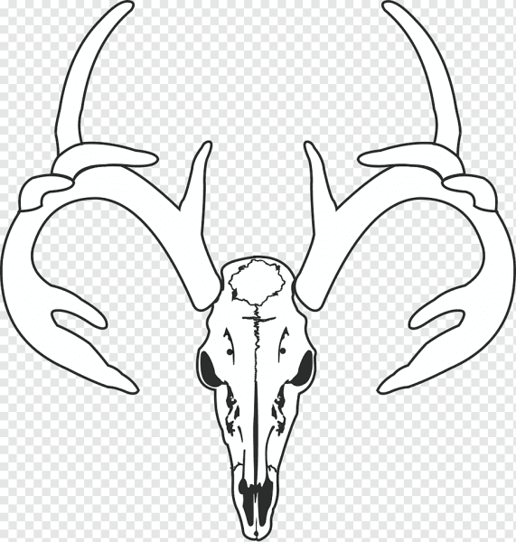 Череп козла