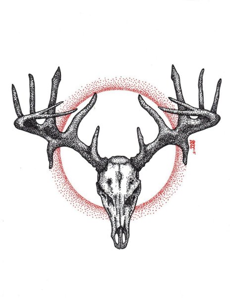 Череп оленя туториал